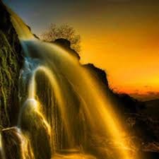 ณิชา ณัฏฐณิชา avatar