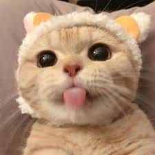 เก้า สุภัสสรา avatar